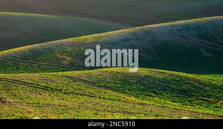 Les terres agricoles de printemps dans les collines de Morvia en République tchèque. Banque D'Images