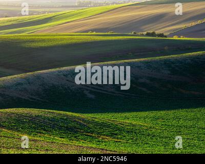 Les terres agricoles de printemps dans les collines de Morvia en République tchèque. Banque D'Images