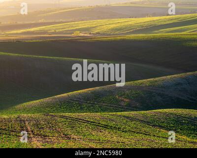 Les terres agricoles de printemps dans les collines de Morvia en République tchèque. Banque D'Images