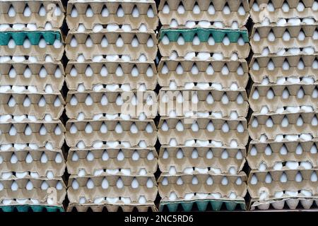 Œufs sur un plateau Beaucoup d'oeufs de poulet au marché écologique de l'agriculteur. Photo de haute qualité Banque D'Images