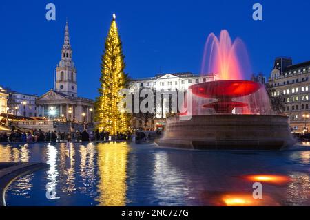 Arbre de Noël à Trafalgar Square, Londres Angleterre Royaume-Uni UK Banque D'Images