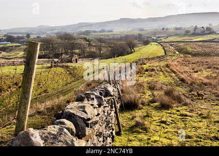 Partie de l'ancien lit de voie de l'ancienne ligne de chemin de fer de Wensleydale à Appersett, près de Hawes, dans le parc national de Yorkshire Dales. Banque D'Images