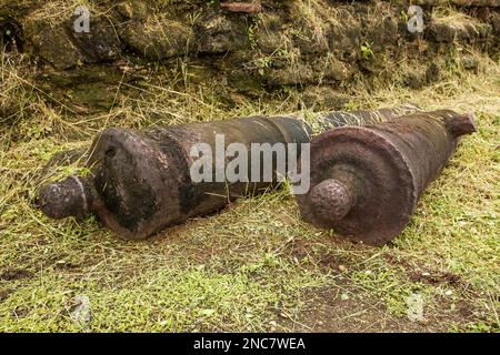 Canons sur les ruines du fort San Lorenzo, à l'embouchure de la rivière Chagres sur la côte des Caraïbes du Panama, près de Colon. Il a été construit par les Espagnols Banque D'Images