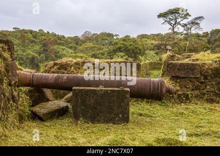 Cannon aux ruines du fort San Lorenzo, à l'embouchure de la rivière Chagres sur la côte des Caraïbes du Panama, près de Colon. Il a été construit par les Espagnols Banque D'Images