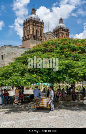 Un vendeur de rue de crème glacée en face de l'église de Saint-Domingue de Guzman dans le centre historique d'Oaxaca, Mexique. Construit dans le style baroque, constructi Banque D'Images