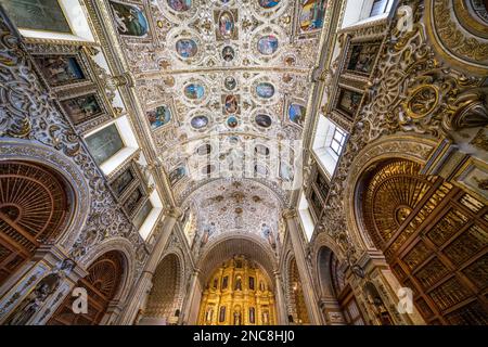 Le retable doré et le plafond de l'église très ornée de Santo Domingo de Guzman dans le centre historique d'Oaxaca, au Mexique. Style baroque Banque D'Images