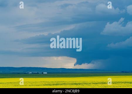 Tempêtes d'été dans les Prairies canadiennes scènes dramatiques Banque D'Images