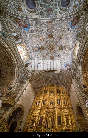 Le retable doré et le plafond de l'église très ornée de Santo Domingo de Guzman dans le centre historique d'Oaxaca, au Mexique. Style baroque Banque D'Images