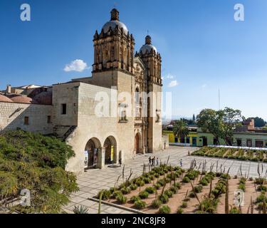 Agaves en face de l'église de Saint-Domingue de Guzman dans le centre historique d'Oaxaca, Mexique. Construit dans le style baroque, la construction a commencé en 1575 Banque D'Images