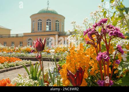 Pavillon de la bibliothèque au jardin botanique de Berggarten - Hanovre, Basse-Saxe, Allemagne. Banque D'Images