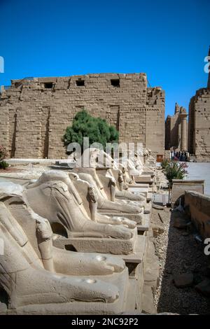 Louxor, Égypte. Le complexe du temple de Karnak, comprend un vaste mélange de temples décomposés. C'est l'entrée principale du temple avec les Rams d'Amon Banque D'Images