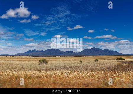 Paysage de Stirling Range ou Koikyennuruff, magnifique parc national de montagne en Australie occidentale, avec le plus haut sommet de Bluff Knoll. Route vers un Banque D'Images