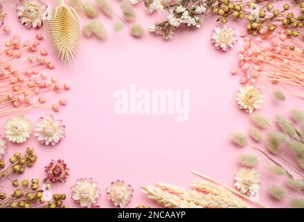 Cadre de belles fleurs séchées sur fond rose clair, plat. Espace pour le texte Banque D'Images