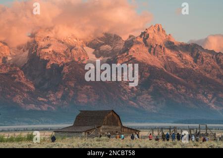 Historique Molton Barn sur Mormon Row au parc national de Grand Teton, Jackson, Wyoming, États-Unis Banque D'Images