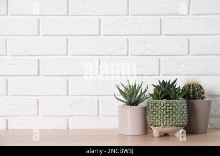 Magnifique Cactus, Aloe et Haworthia en pots sur table en bois près du mur en brique blanche, espace pour le texte. Différentes plantes de maison Banque D'Images