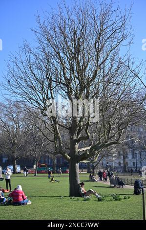 2023-02-14 Météo au Royaume-Uni : lecteurs de livres à St James Park, Londres, Royaume-Uni Banque D'Images