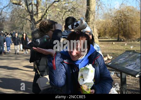 2023-02-14 Météo au Royaume-Uni: Personnes nourrissant le pigeon lors d'une chaude journée d'hiver à St James Park, Londres, Royaume-Uni. Banque D'Images
