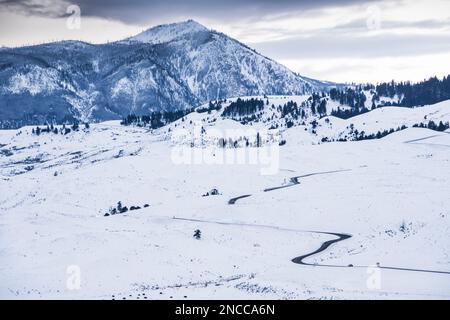 Une route temporaire a été établie entre Gardiner et Mammoth Montana dans le parc national de Yellowstone, Montana, Wyoming, États-Unis Banque D'Images