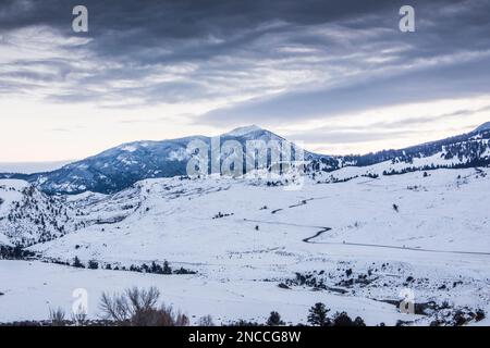 Une route temporaire a été établie entre Gardiner et Mammoth Montana dans le parc national de Yellowstone, Montana, Wyoming, États-Unis Banque D'Images