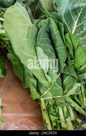 Un riche vert éclatant de collard verts à vendre sur une table à un marché d'agriculteurs. Le riche super-aliment a une saveur sucrée avec de larges légumes à feuilles. Banque D'Images