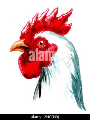 Tête de poule blanche. Dessin à l'encre et aquarelle Banque D'Images