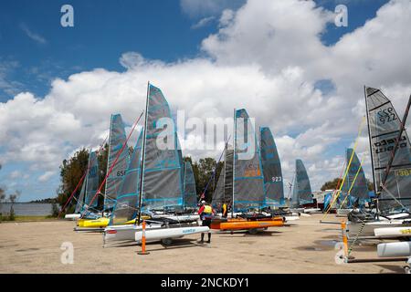 Préparation des bateaux Weta pour la course, championnats nationaux de la classe Weta australienne, lacs de Gippsland, Paynesville, Victoria, Australie. Banque D'Images