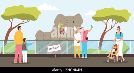 Les gens regardent et prennent des photos d'éléphants dans le zoo illustration vectorielle plate Illustration de Vecteur