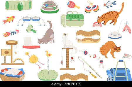 Kit d'accessoires pour chats avec icônes isolées plates de porte-animaux bacs à litière jouets et divers chats illustration vectorielle Illustration de Vecteur