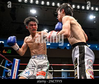 Tokyo, Japon. 14th févr. 2023. Kenta Nakagawa (gants rouges) et Akio Furutani (gants bleus) se disputent lors de leur combat de boxe libre WBO Asie Pacifique Super Flyweight au Korekuen Hall à Tokyo, Japon, 14 février 2023. Crédit: Hiroaki Finito Yamaguchi/AFLO/Alamy Live News Banque D'Images