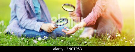 Les enfants explorent la nature fraîche à l'aide de loupes. Banque D'Images