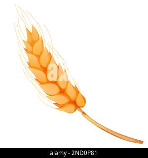 Épillet de blé, grain sur paille en style dessin animé, détaillé isolé sur fond blanc. Plante d'agriculture avec des semences. Illustration vectorielle Illustration de Vecteur