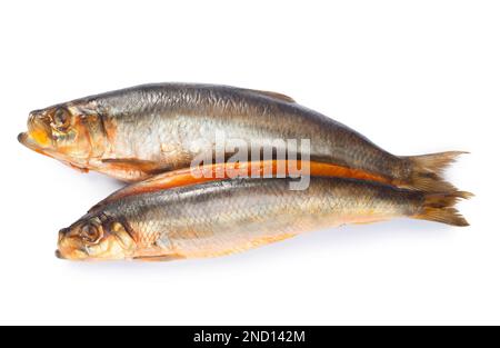 Photo de studio de kippers naturellement fumés sur fond blanc - John Gollop Banque D'Images