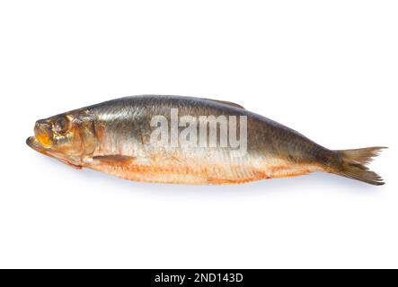 Photo de studio de kippers naturellement fumés sur fond blanc - John Gollop Banque D'Images