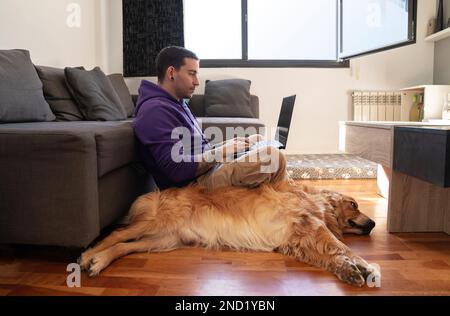 Vue latérale a concentré le propriétaire masculin dans des vêtements décontractés assis sur le sol avec le chien Golden Retriever et surfer sur Internet via ordinateur portable à la maison Banque D'Images