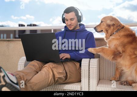 Jeune homme positif indépendant dans des vêtements décontractés et des écouteurs assis sur un banc tout en travaillant à distance via un ordinateur portable près de mignon Golden Retriever chien duri Banque D'Images