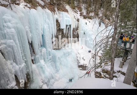 Parc national Banff, Alberta, Canada – 12 février 2023 : les gens qui se trouvent sur une terrasse d'observation regardent les grimpeurs de glace sur une chute d'eau gelée dans le canyon Johnston Banque D'Images