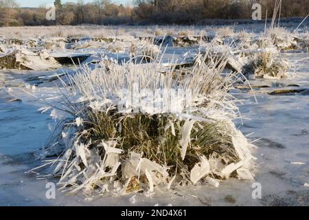 la glace s'est effondrée, le champ a été inondé puis gelé, l'eau s'est évacuée en laissant la glace suspendue qui s'est ensuite effondrée en laissant la tuft, le moignon d'herbe Banque D'Images