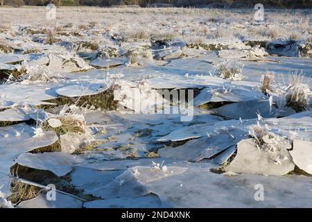 La glace s'est effondrée, le champ a été inondé puis gelé, l'eau s'est évacuée en laissant la glace suspendue qui s'est ensuite effondrée, dans le champ, les ruines de Cowdray, Sussex, Banque D'Images