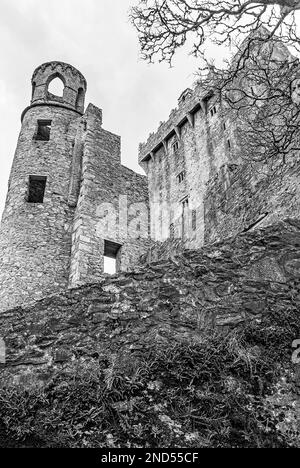 Château de Blarney, maison de la légendaire pierre de Blarney, Cork, Irlande en noir et blanc Banque D'Images