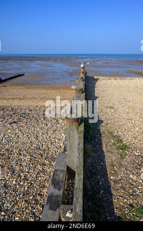 Whitstable, Kent, Angleterre, Royaume-Uni. Groyne sur la plage - structure en bois menant vers le bas de la plage à angles droits à la mer pour arrêter le mouvement du marais Banque D'Images