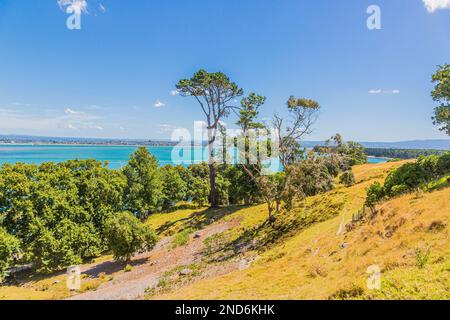 Photo du Mont Maunganui à l'île de Matakana sur l'île du nord de la Nouvelle-Zélande en été Banque D'Images