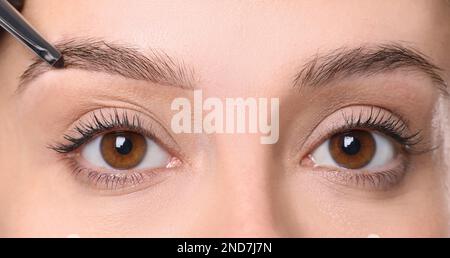 Esthéticienne appliquant la teinte pendant la procédure de correction des sourcils sur fond blanc, gros plan Banque D'Images