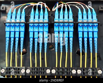 Câble de connecteurs à fibre optique dans la boîte de rack Banque D'Images