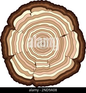 Anneaux d'arbre. Icône de couleur de scie en bois Illustration de Vecteur