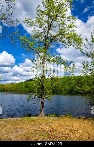 Human Made Hidden Lake est un site de loisirs populaire dans le Delaware Water Gao National Recreation Area, Pennsylvanie Banque D'Images