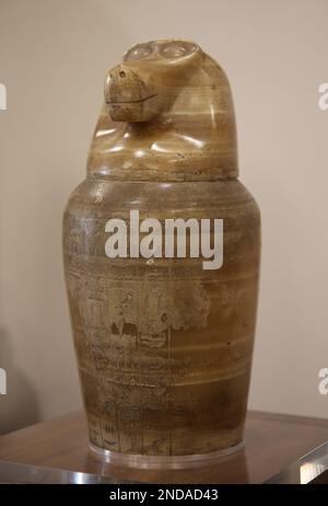 Jarre caponique avec couvercle à tête de singe (hapi). Période Saite. 26th dynastie. Calcite. Égypte. Musée Barracco de sculptures anciennes. Rome. Italie. Banque D'Images