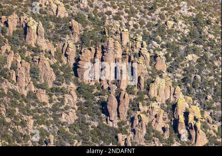 Scenci Paysage d'hiver dans le monument national de Chiricahua Arizona Banque D'Images