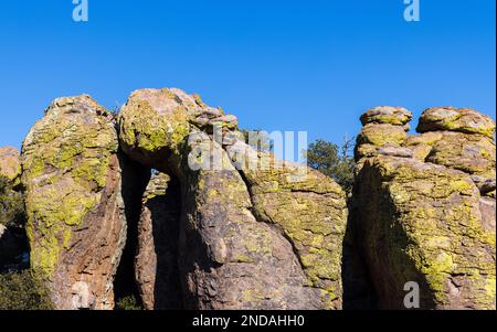 Scenci Paysage d'hiver dans le monument national de Chiricahua Arizona Banque D'Images