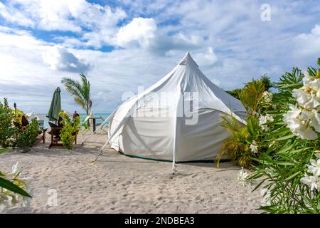 Wild Lotus Camp, Valley Church Beach, St Marys, Antigua, Antigua-et-Barbuda, Antilles néerlandaises, Caraïbes Banque D'Images