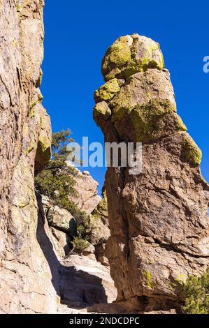 Scenci Paysage d'hiver dans le monument national de Chiricahua Arizona Banque D'Images